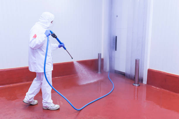 Best Paint Preparation  in Winnsboro, SC